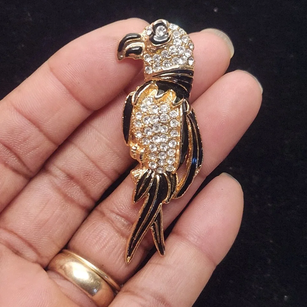 N/A charming parrot